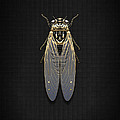 Black Cicada with Gold Accents on Black Canvas