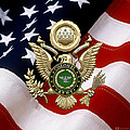 U. S. Army Colonel - C O L Rank Insignia over Gold Great Seal Eagle and Flag