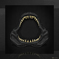 Great White Shark - Black Jaws with Gold Teeth on Black Canvas